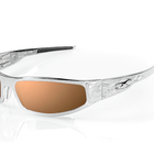 Load image into Gallery viewer, Baby Bagger Chrome Motorcycle Sunglasses (Flames)