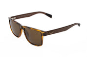 Moto CF Tortoise (Small)