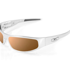 Load image into Gallery viewer, Baby Bagger Chrome Motorcycle Sunglasses (Smooth)