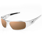 Load image into Gallery viewer, “Bagger” Chrome Prescription Motorcycle Glasses (Smooth)