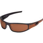 Load image into Gallery viewer, Baby Bagger Harley Stripes and Stars Prescription Glasses